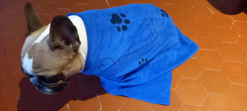 PawHavenSA™ FurDry