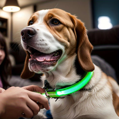 PawHavenSA GlowWalk™ Collar