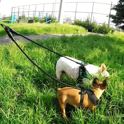 PawHavenSA DuoWalk™ Leash