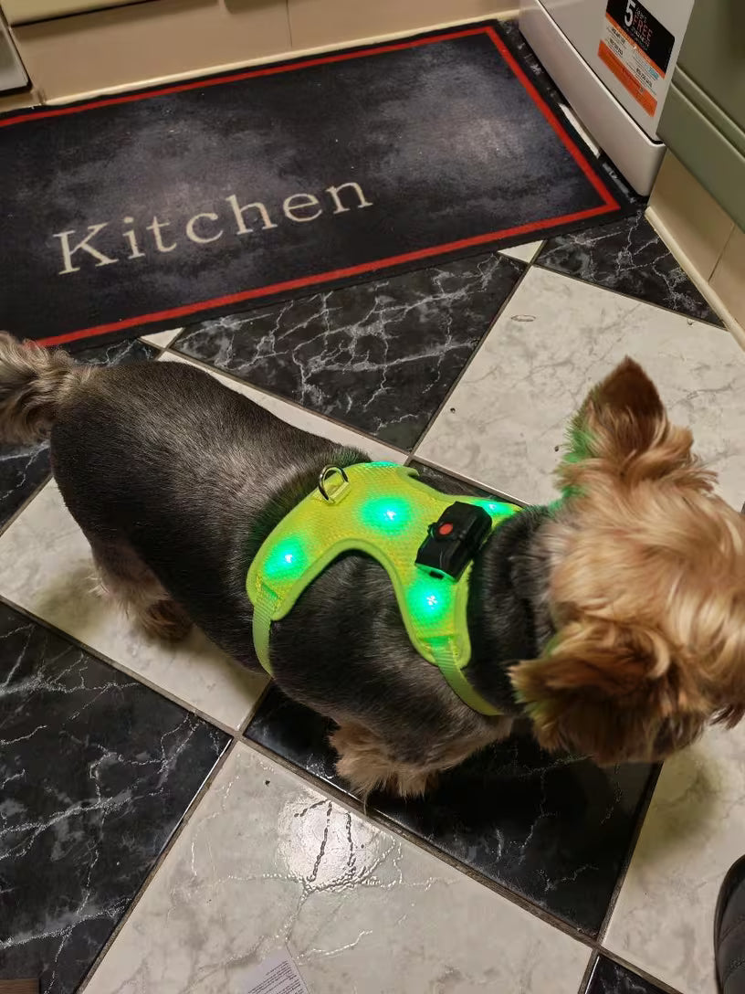 PawHavenSA NightGuard™ Harness