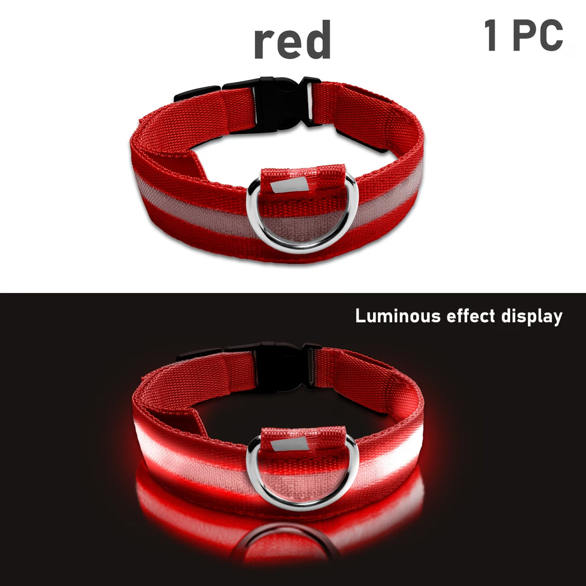 PawHavenSA GlowWalk™ Collar