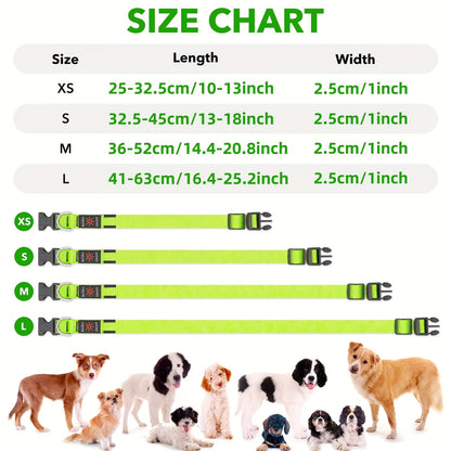PawHavenSA GlowWalk™ Collar