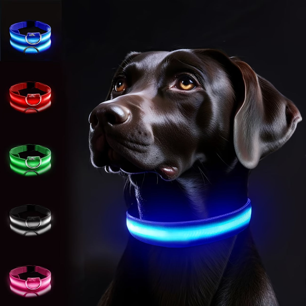 PawHavenSA GlowWalk™ Collar