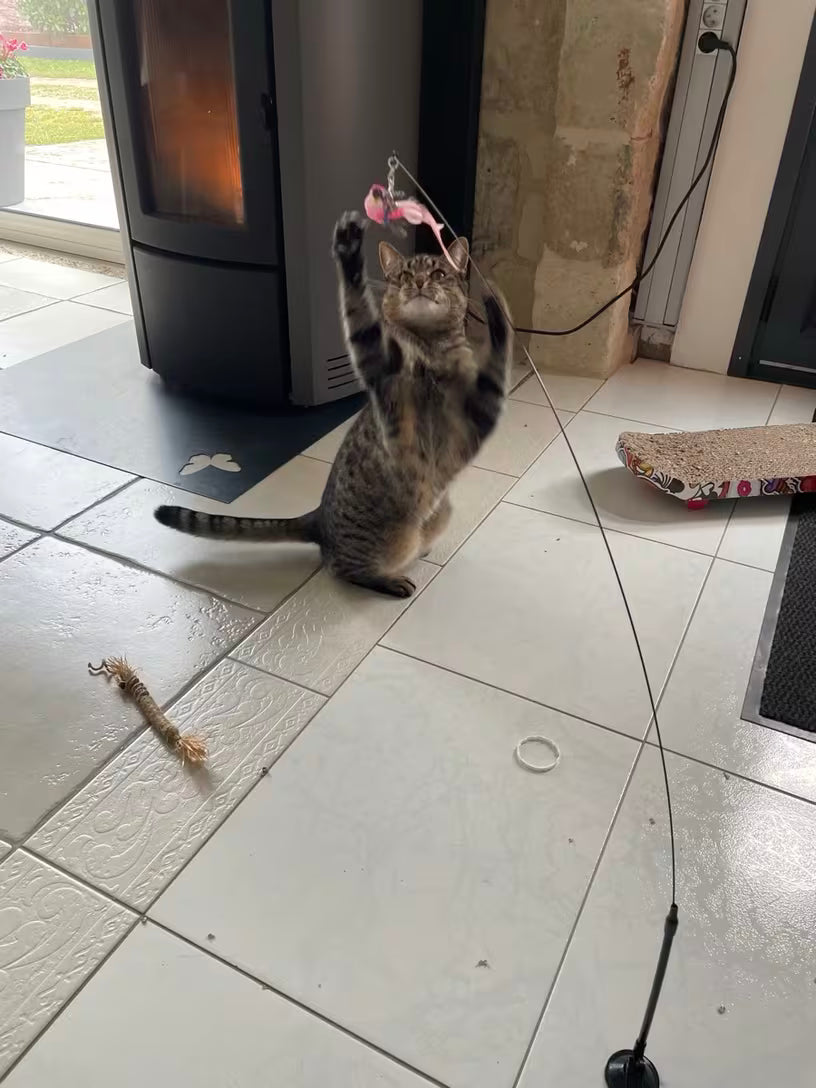 PawHavenSA Hunt & Play™ Wand