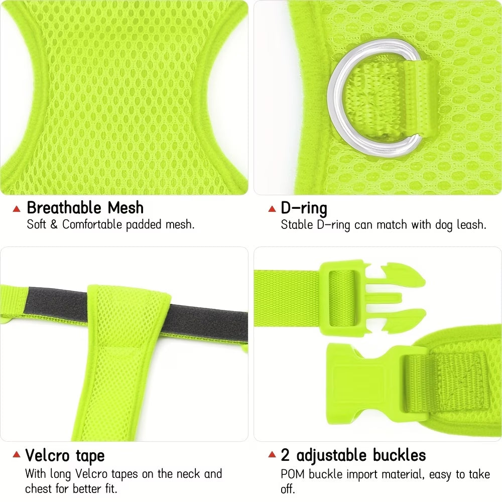 PawHavenSA NightGuard™ Harness