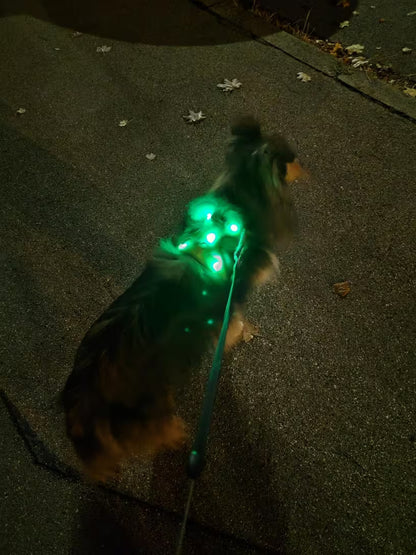 PawHavenSA NightGuard™ Harness