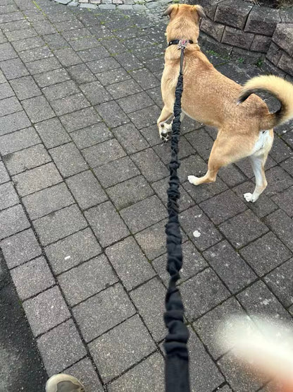 PawHavenSA RunMate™ Belt