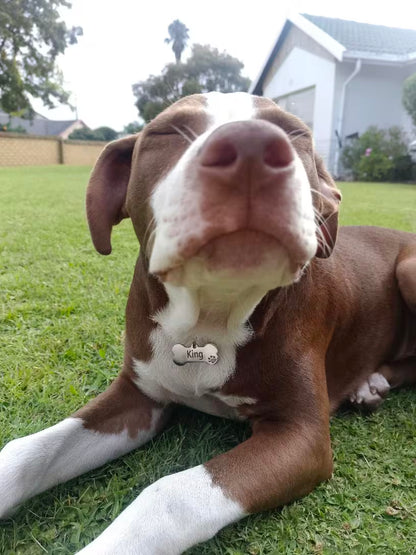PawHavenSA SafeTag™ ID Tag