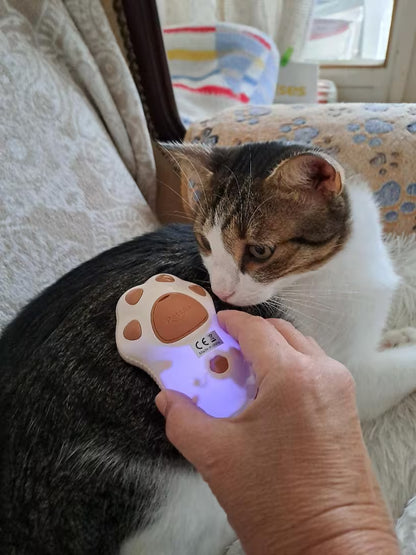 PawHavenSA FurMist™ Electric Grooming Brush