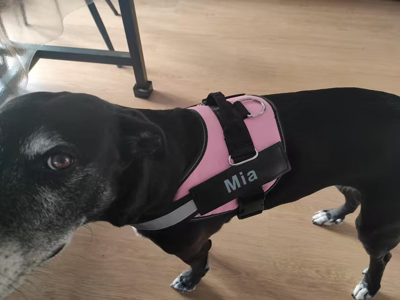 PawHavenSA SecureFit™ Customizable Harness