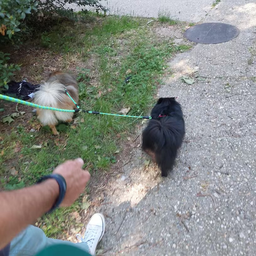 PawHavenSA DuoWalk™ Leash
