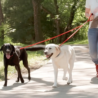 PawHavenSA DuoWalk™ Leash