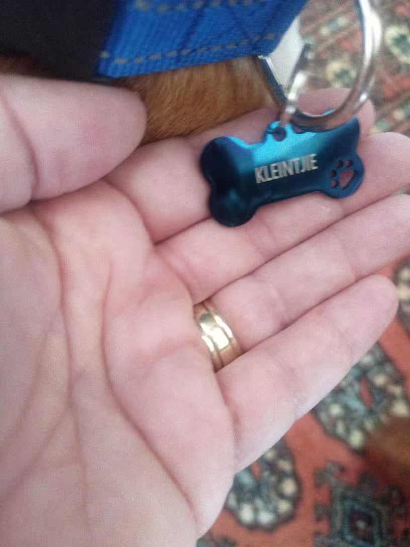 PawHavenSA SafeTag™ ID Tag