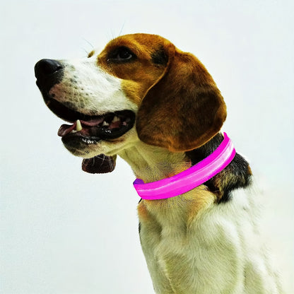 PawHavenSA GlowWalk™ Collar