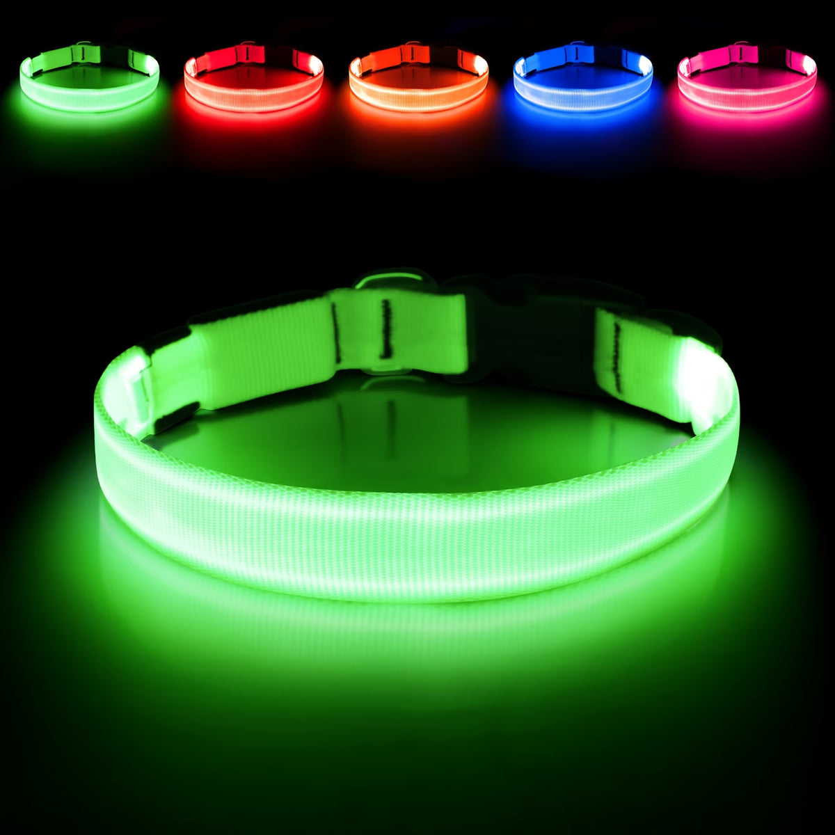 PawHavenSA GlowWalk™ Collar