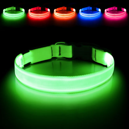 PawHavenSA GlowWalk™ Collar