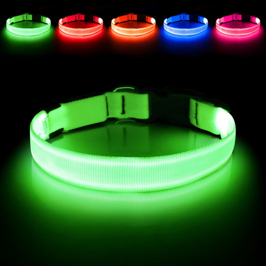 PawHavenSA GlowWalk™ Collar