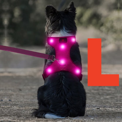 PawHavenSA NightGuard™ Harness
