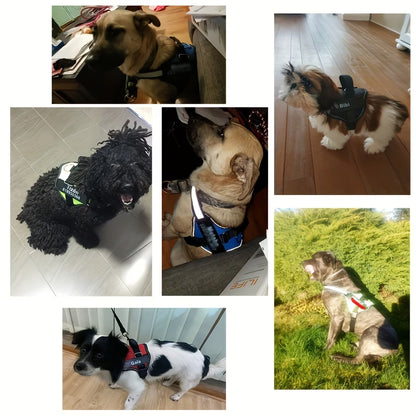 PawHavenSA SecureFit™ Customizable Harness