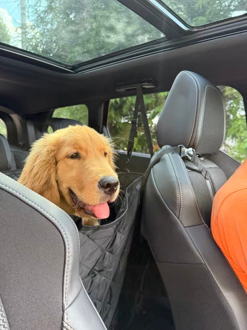 PawHavenSA RideShield™ Seat Cover