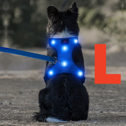 PawHavenSA NightGuard™ Harness