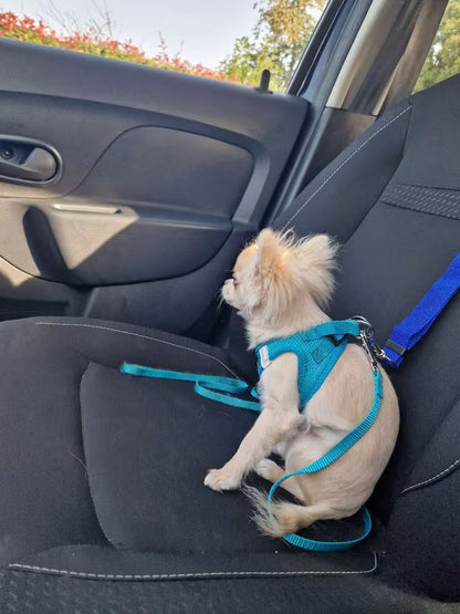 PawHavenSA SafeRide™ Belt