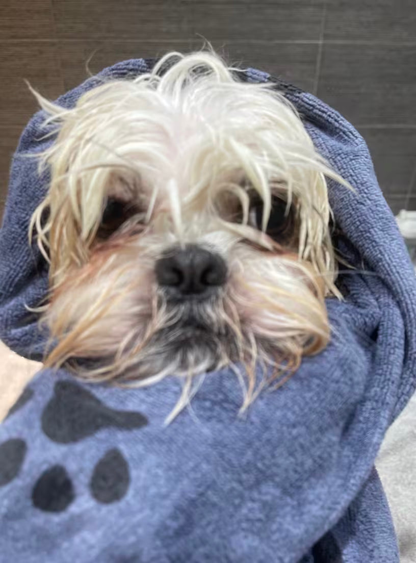 PawHavenSA™ FurDry