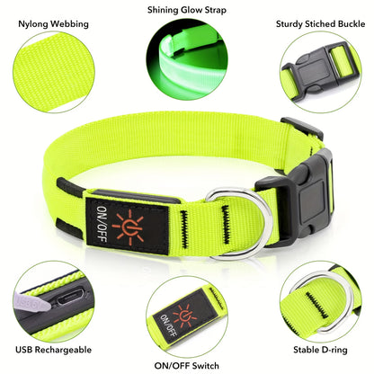 PawHavenSA GlowWalk™ Collar
