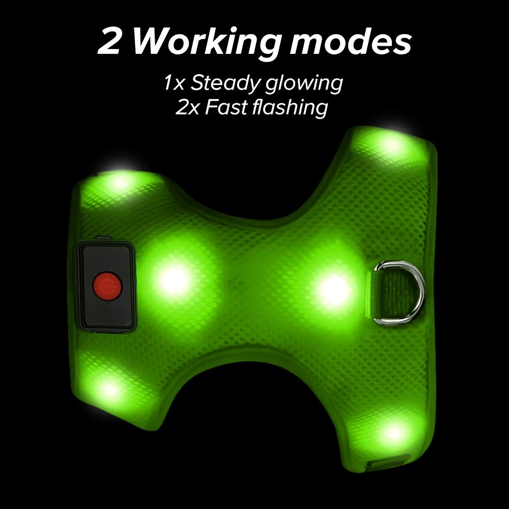 PawHavenSA NightGuard™ Harness