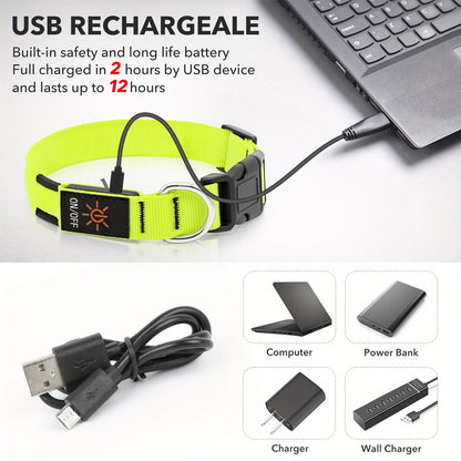 PawHavenSA GlowWalk™ Collar