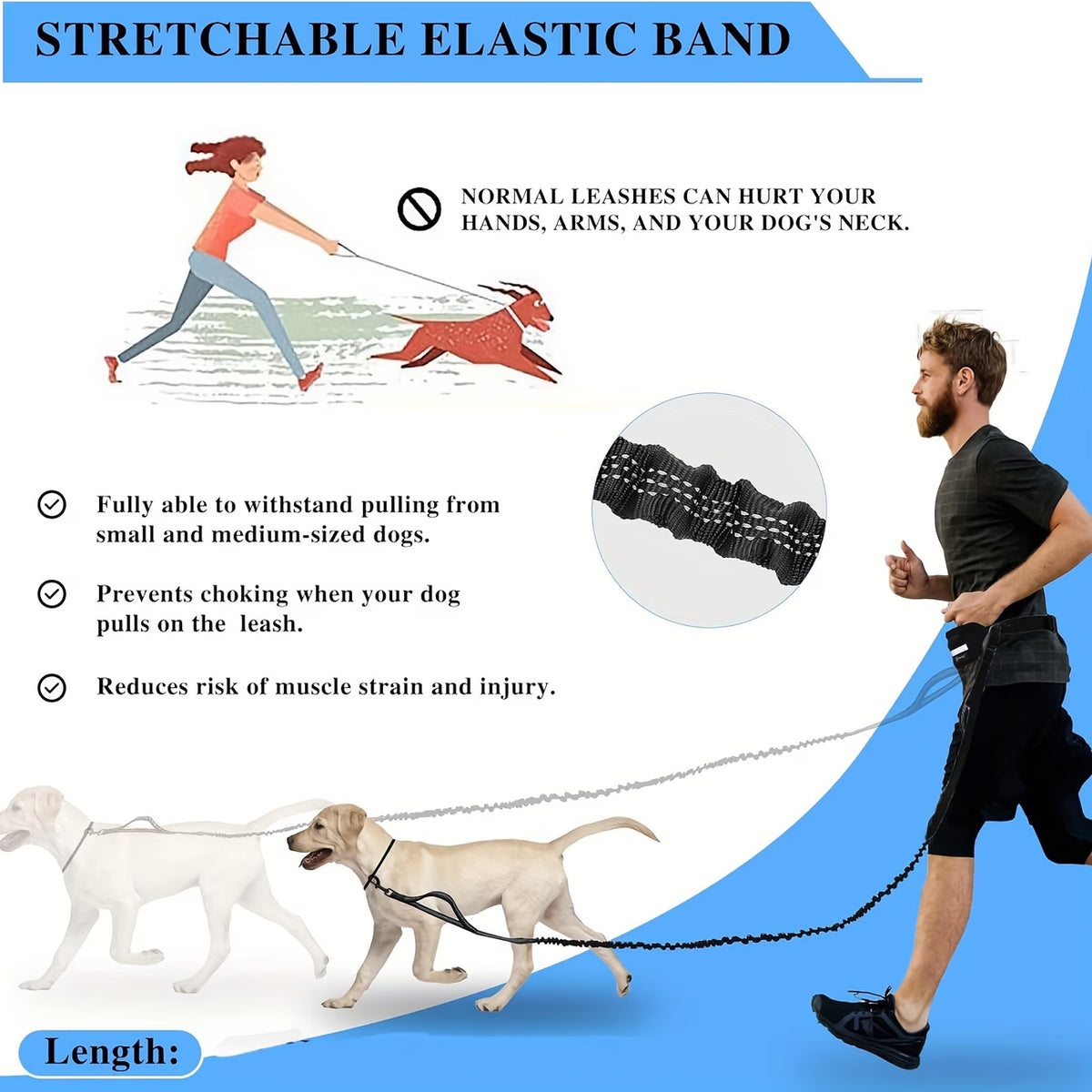 PawHavenSA RunMate™ Belt