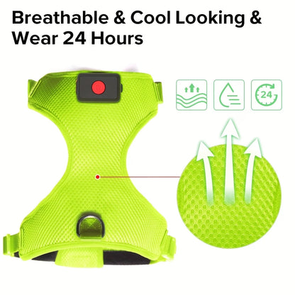 PawHavenSA NightGuard™ Harness