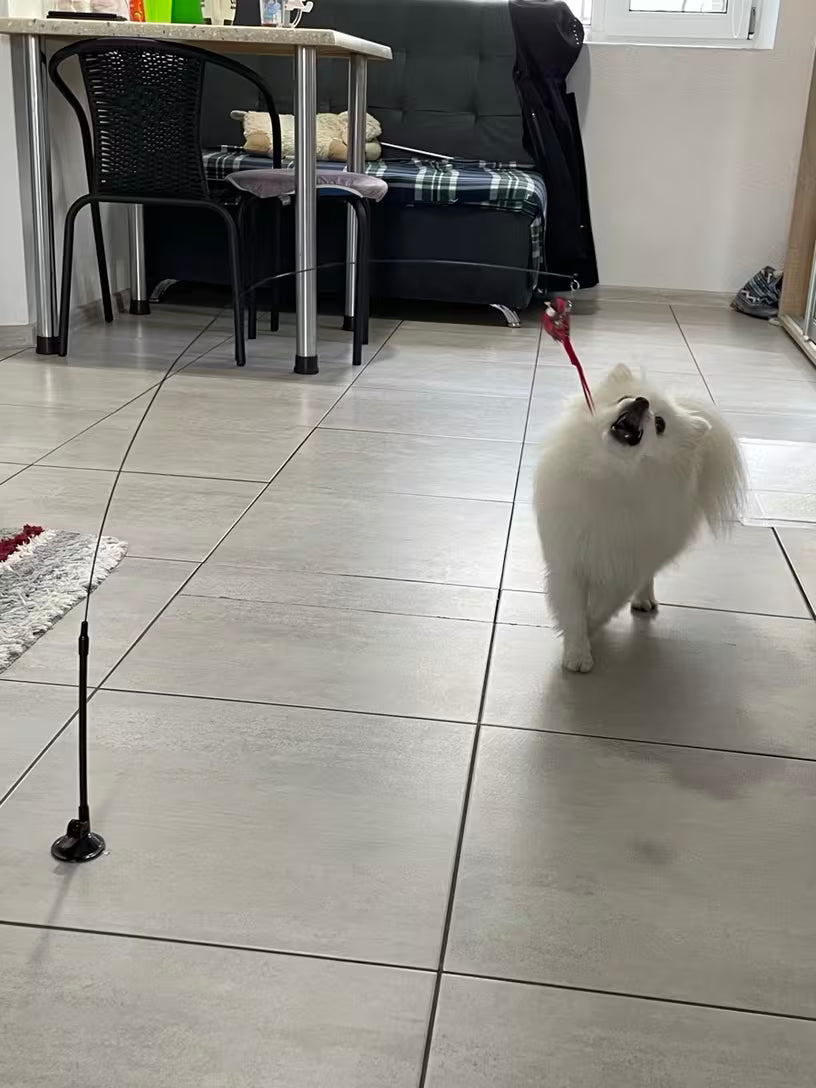 PawHavenSA Hunt & Play™ Wand