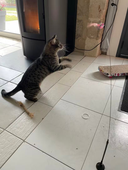 PawHavenSA Hunt & Play™ Wand