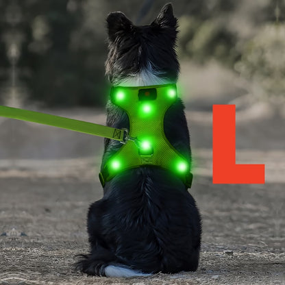 PawHavenSA NightGuard™ Harness