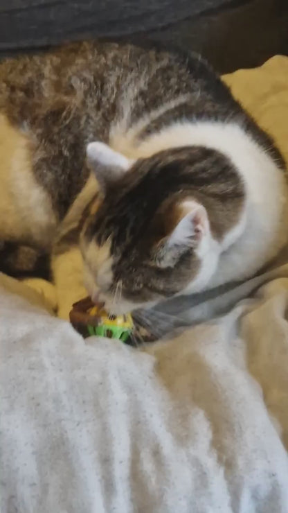 PawHavenSA™ WhiskerWeave