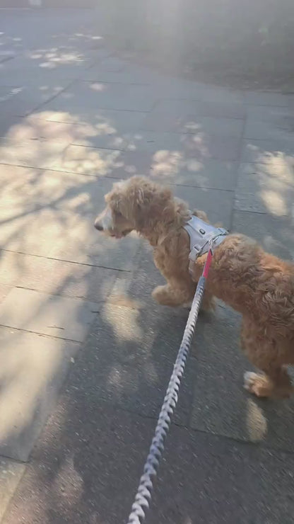PawHavenSA RunMate™ Belt