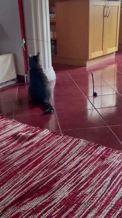 PawHavenSA Hunt & Play™ Wand