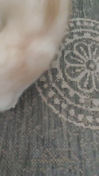 PawHavenSA™ WhiskerWeave