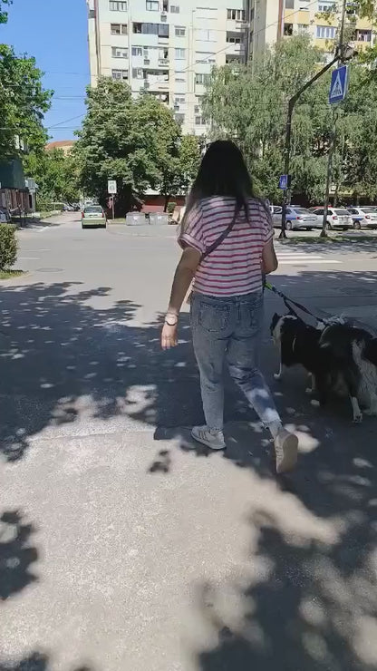 PawHavenSA DuoWalk™ Leash