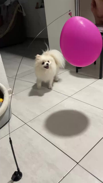 PawHavenSA Hunt & Play™ Wand