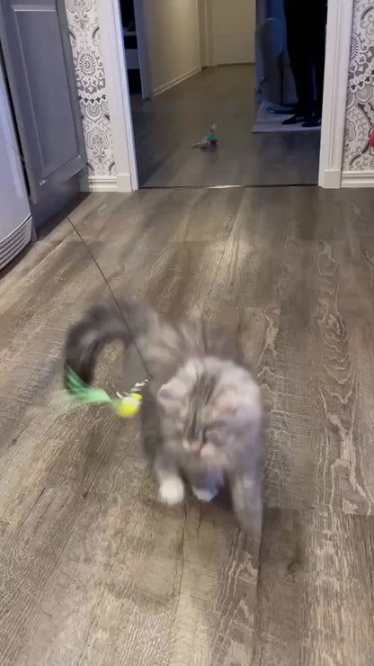 PawHavenSA Hunt & Play™ Wand